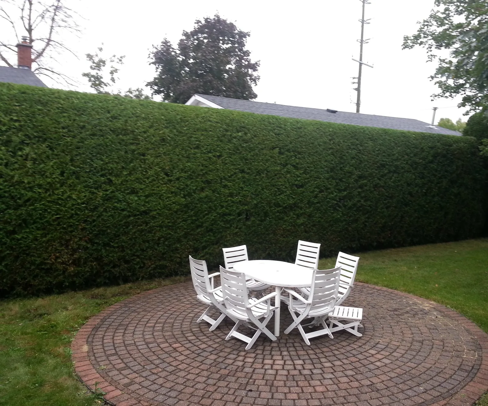 Cedar hedge trimmed flat around a round paver patio