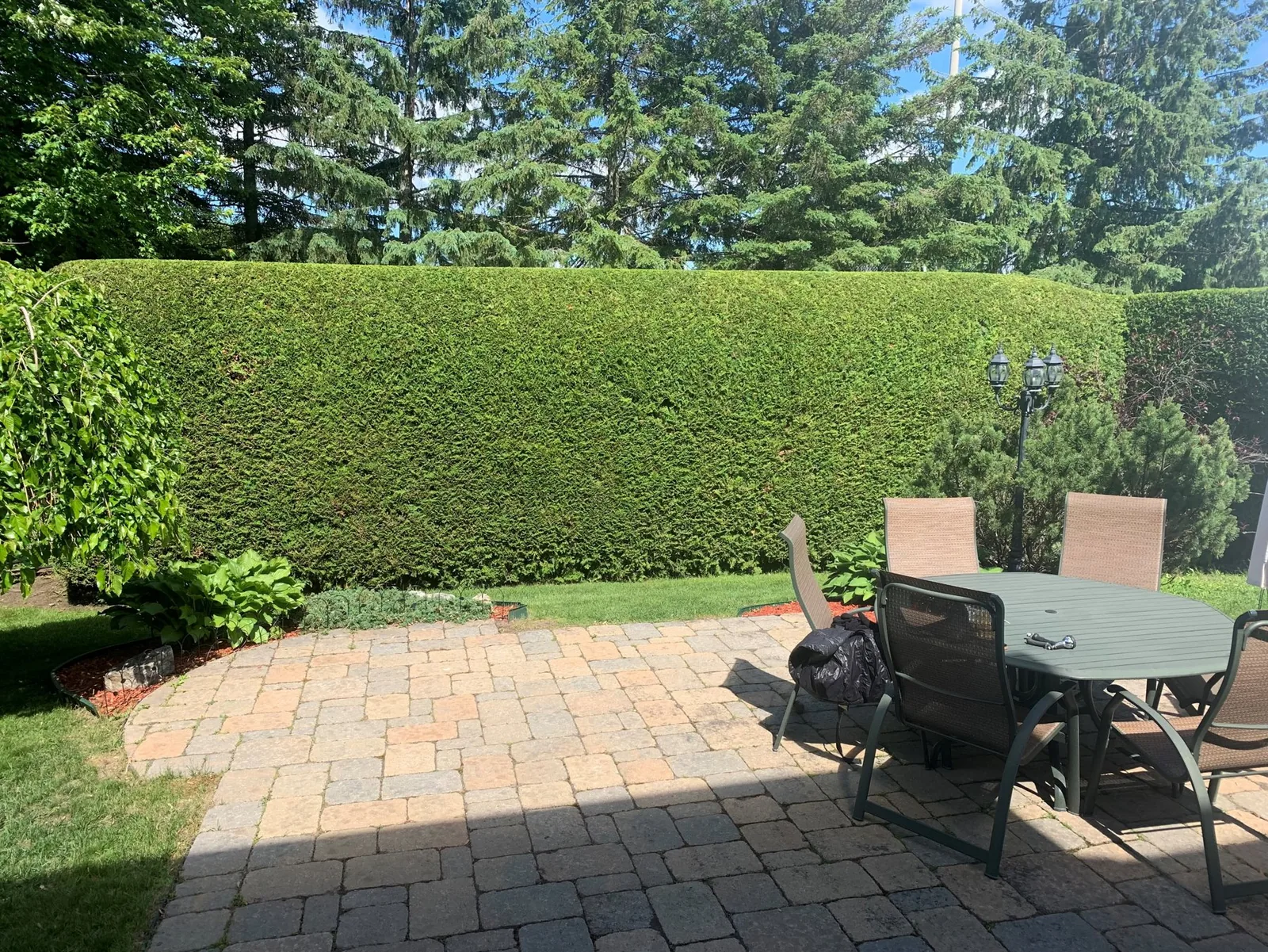 Tall, straight hedge behind a backyard patio