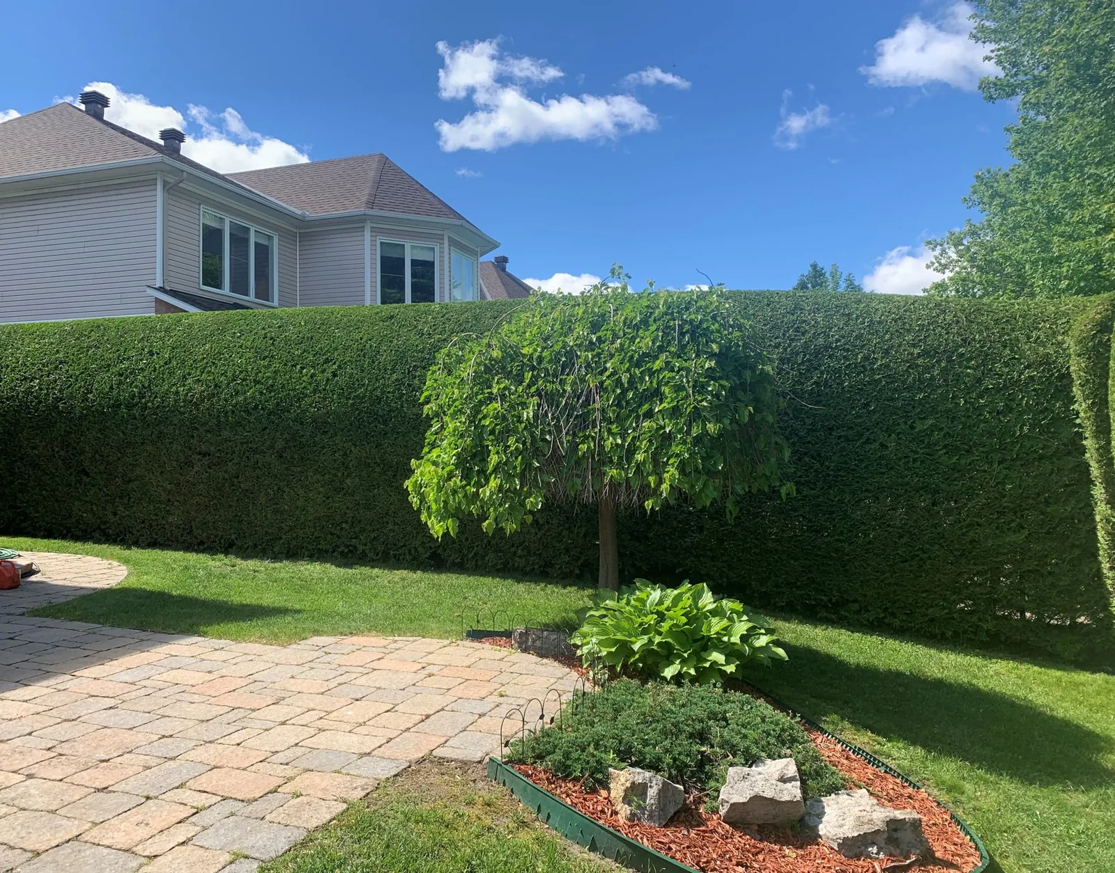 Long trimmed hedge around a yard with a patio